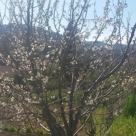 شقة House In Caramagna