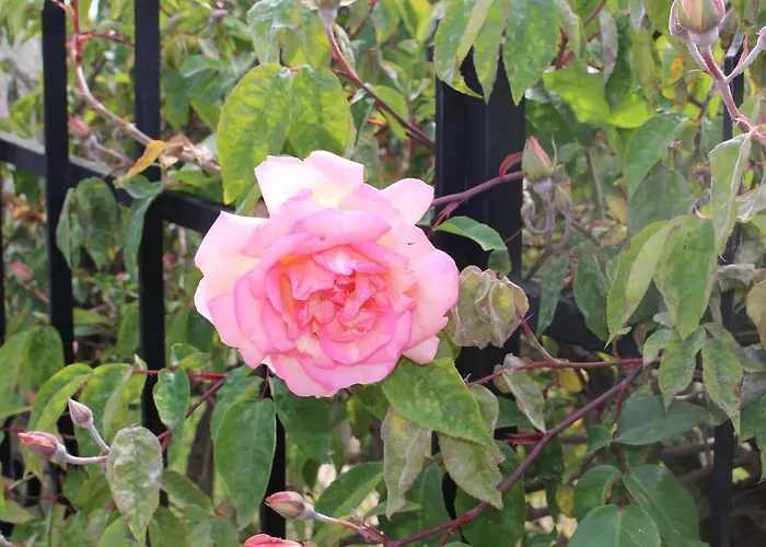 Апартаменты House In Caramagna *