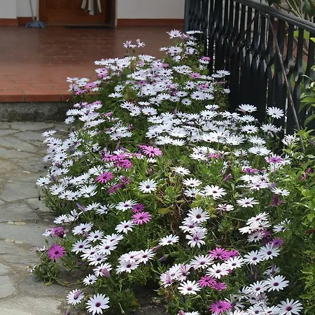 House In Caramagna Lägenhet *