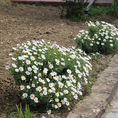 Lägenhet House In Caramagna