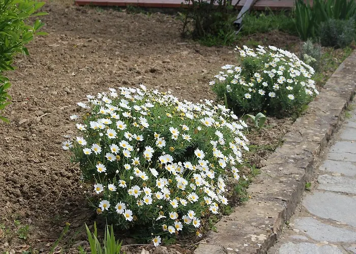 Lägenhet House In Caramagna