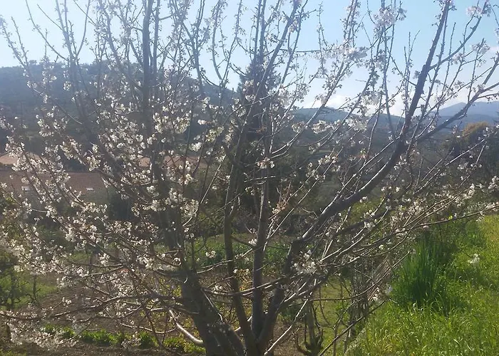 Lägenhet House In Caramagna